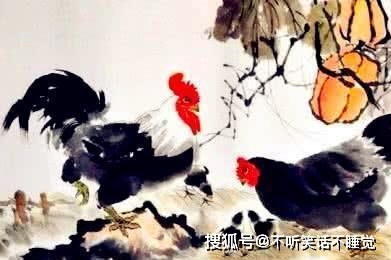 一道旭光分两地鸡啼鼠走四十六是什么生肖,警惕虚假宣传落实,综合解答解释落实