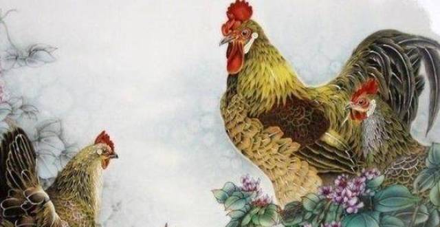 一道旭光分两地鸡啼鼠走四十六是什么生肖,警惕虚假宣传落实,综合解答解释落实